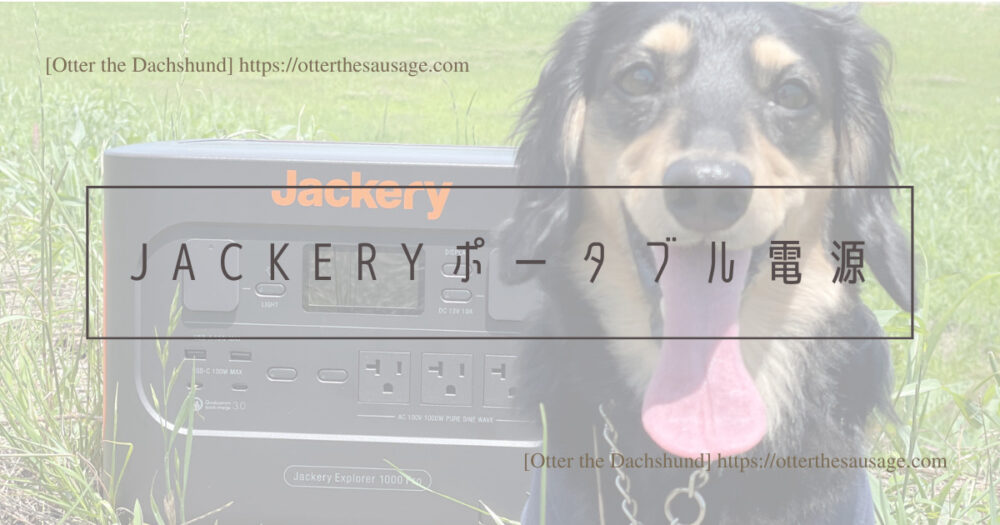 Header Image_Otter the Dachshund_travel with dogs_hang out with dogs_犬旅ブログ_犬とお出かけブログ_review_jackery-portable-power-station_for-dog-owner_Jackeryポータブル電源